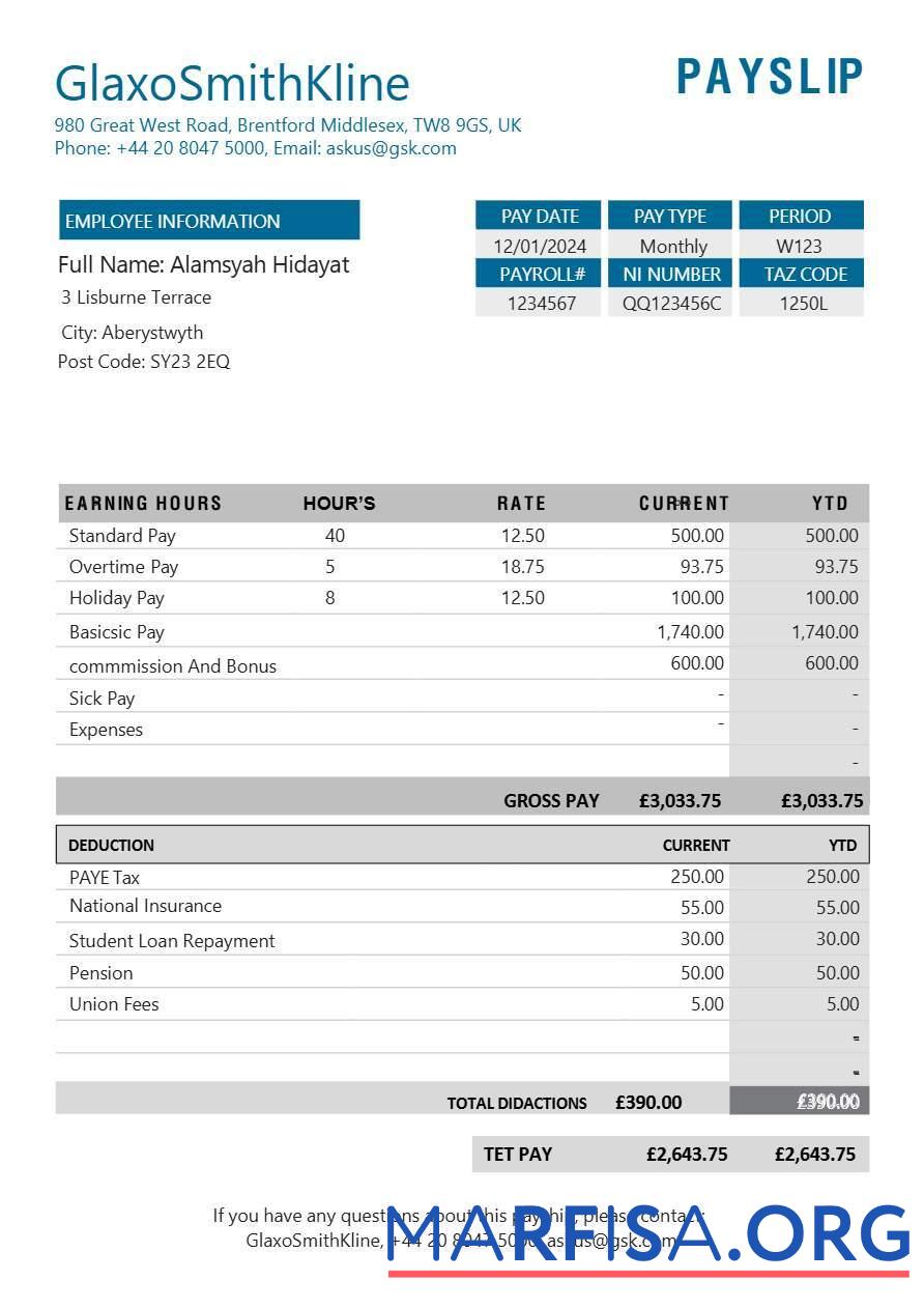 Blank GlaxoSmithKline pharmaceutical company payslip download for verification